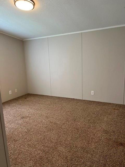 16469 Spring Rain Court - Photo 13