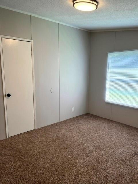 16469 Spring Rain Court - Photo 10