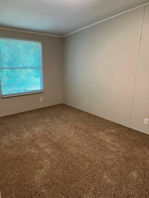 16469 Spring Rain Court - Photo 17
