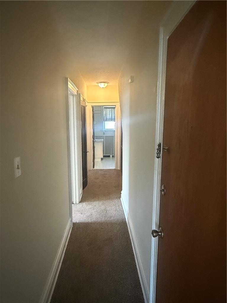 2403 Allen Street - Photo 2