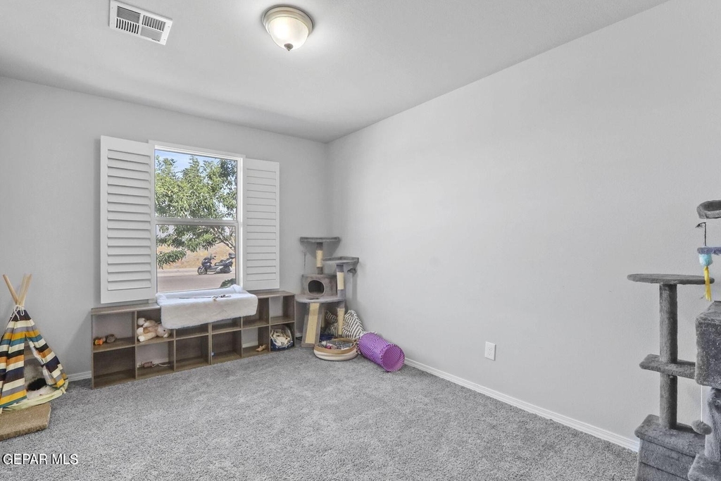 3917 Desert Dunes Drive - Photo 17
