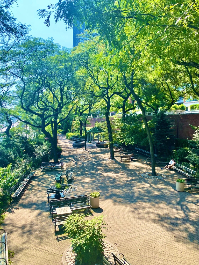 East 51st Street - Photo 8
