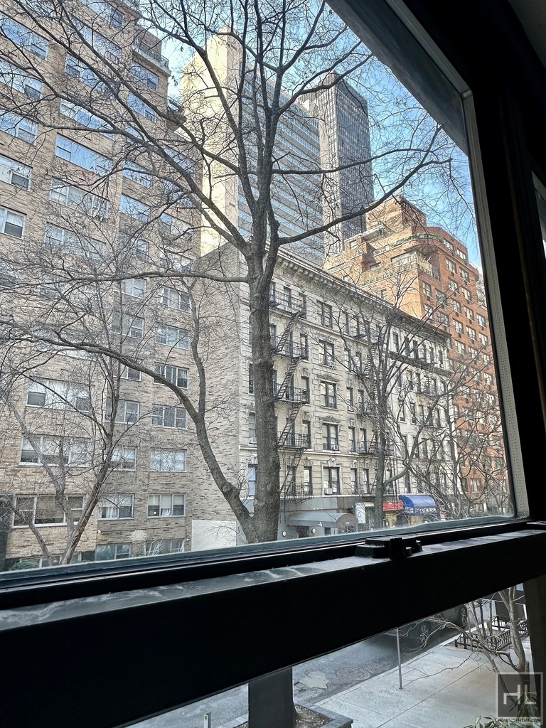 East 49 Street - Photo 13