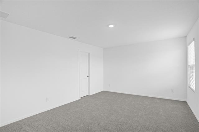 819 Pawpaw Drive - Photo 21