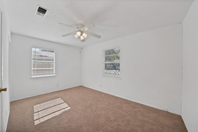 6516 Perdido Drive - Photo 12