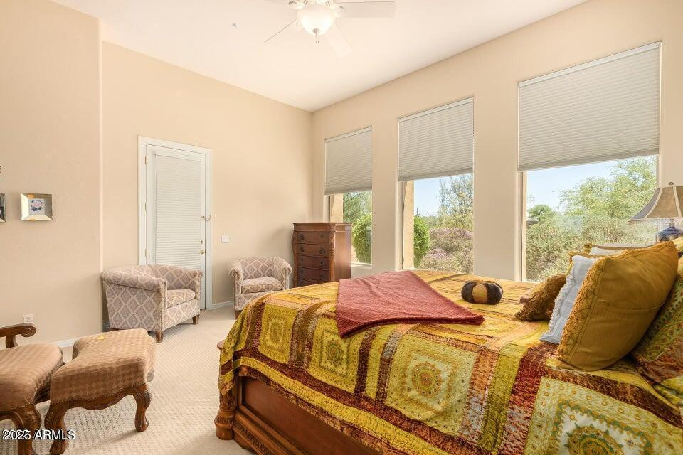 8115 E Sand Flower Drive - Photo 32