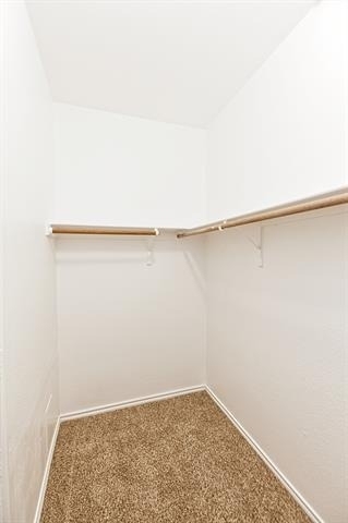 4009 Hidden Meadow Court - Photo 25
