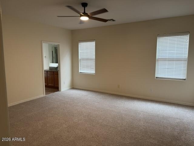 27582 N 90th Lane - Photo 13