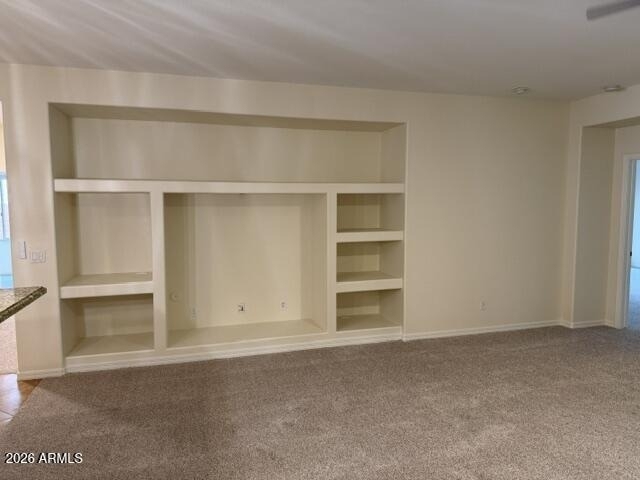 27582 N 90th Lane - Photo 12