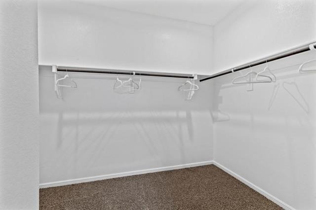 8520 Little Acorn Drive - Photo 6