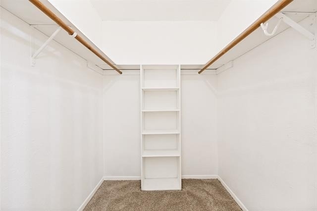 6737 Fair Meadows Drive - Photo 13