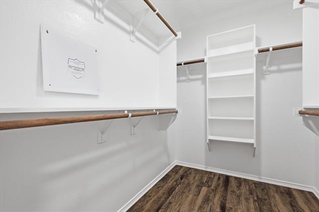 2825 Saddlebred Trail - Photo 21