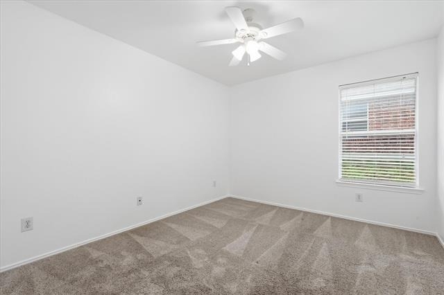 2825 Saddlebred Trail - Photo 23