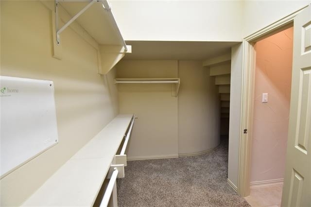 14857 Holly Leaf Drive - Photo 13