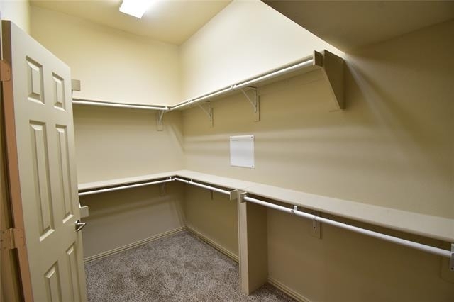 14857 Holly Leaf Drive - Photo 12