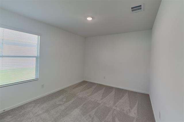 3105 Lynmar Lane - Photo 11