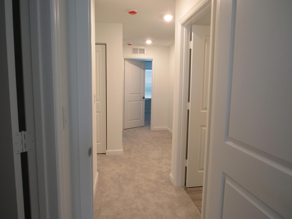 4332 Pond Lily Lane - Photo 14