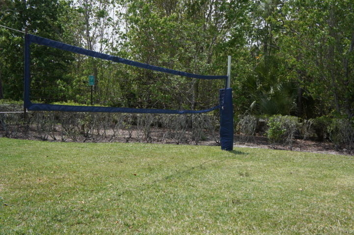 10395 Little Mustang Way - Photo 29