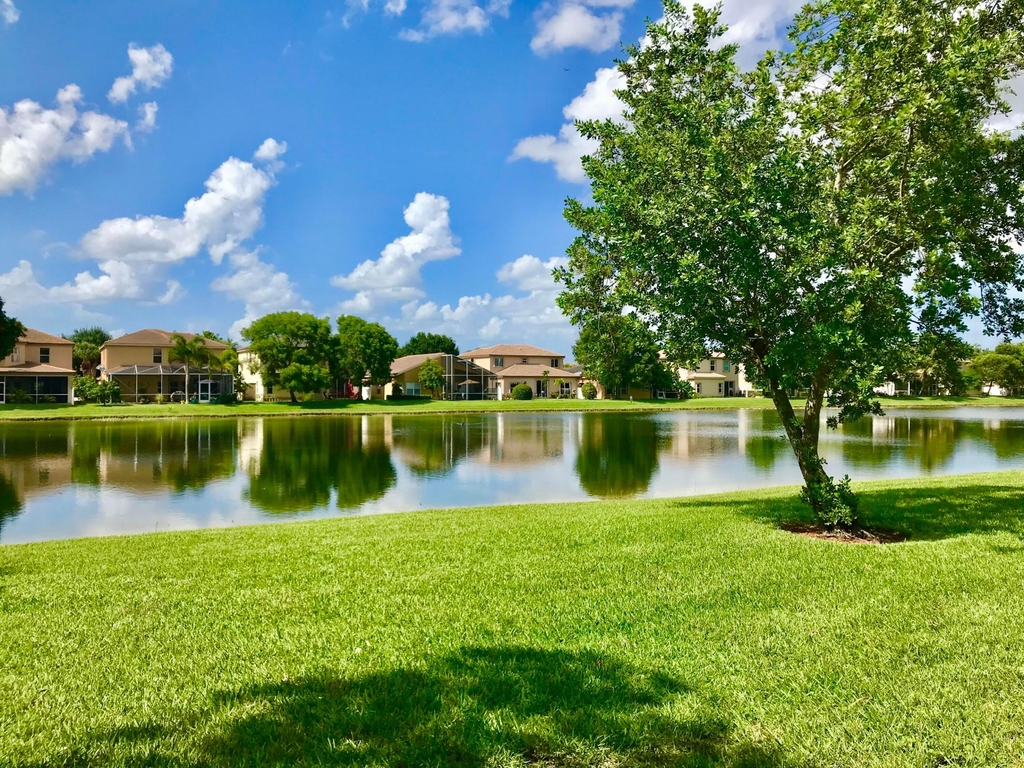 10395 Little Mustang Way - Photo 1