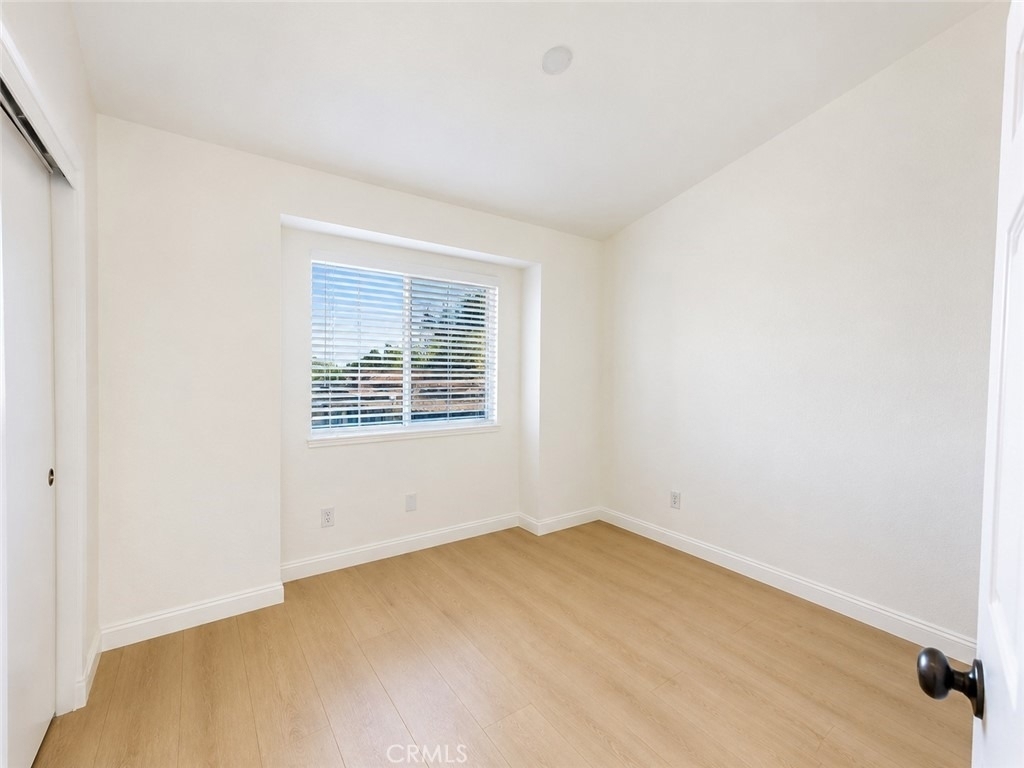 1567 Corte Santana - Photo 11