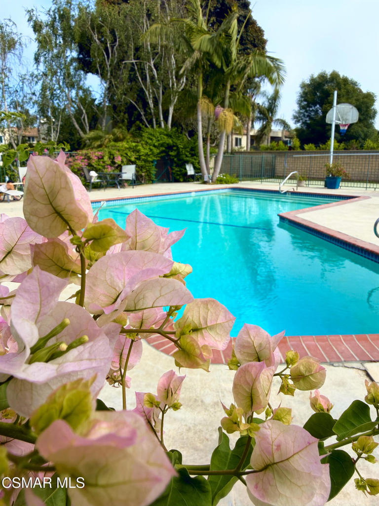 6441 Kanan Dume Road - Photo 22
