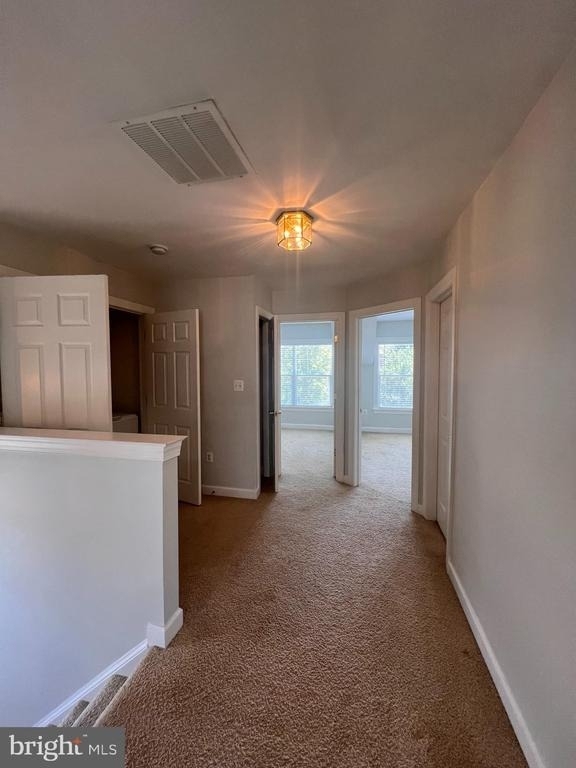 8234 Glade Bank Drive - Photo 13