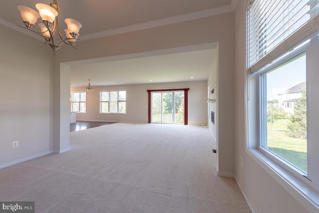 41313 Red Birch Drive - Photo 34