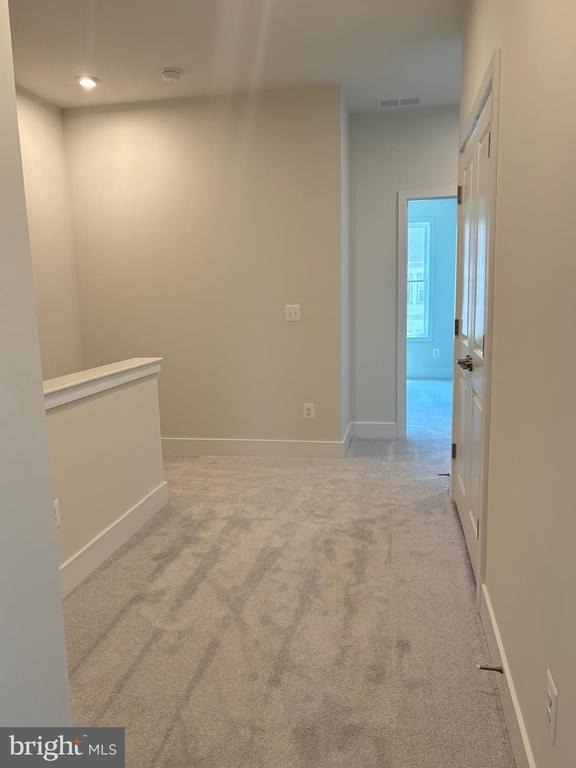 133 Bamboo Shoot Lane - Photo 29