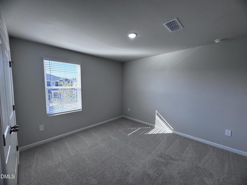 62 Thistle Patch Place - Photo 10