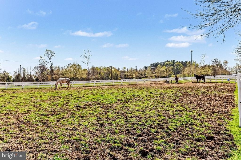 10878 Foxtrot Circle - Photo 38