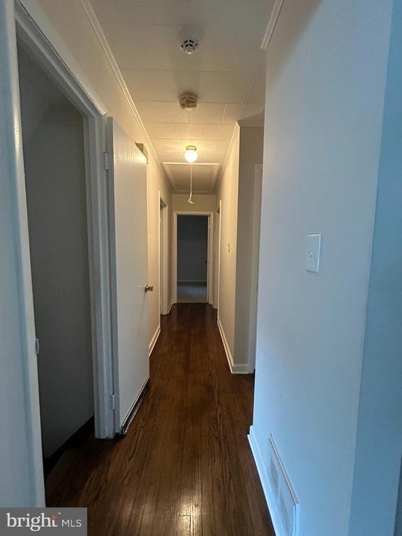 5515 Hill Way - Photo 5