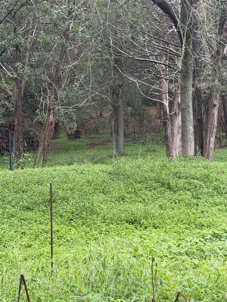 214 The Forest Rd - Photo 14