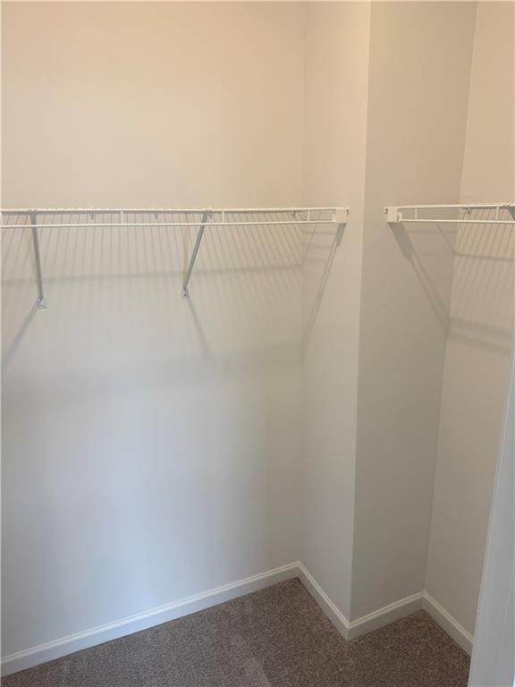 407 Nix Lane - Photo 31