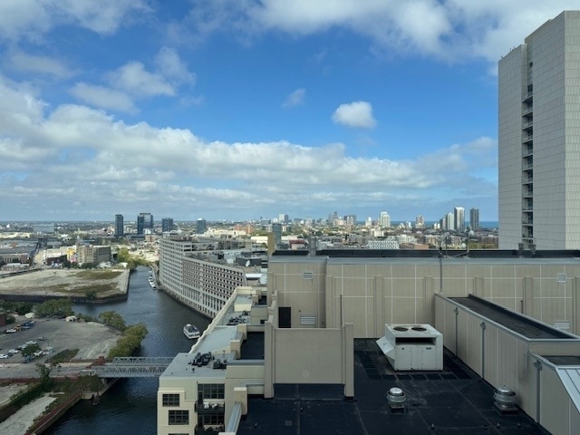 700 N Larrabee Street - Photo 32