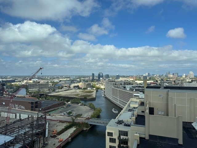700 N Larrabee Street - Photo 33
