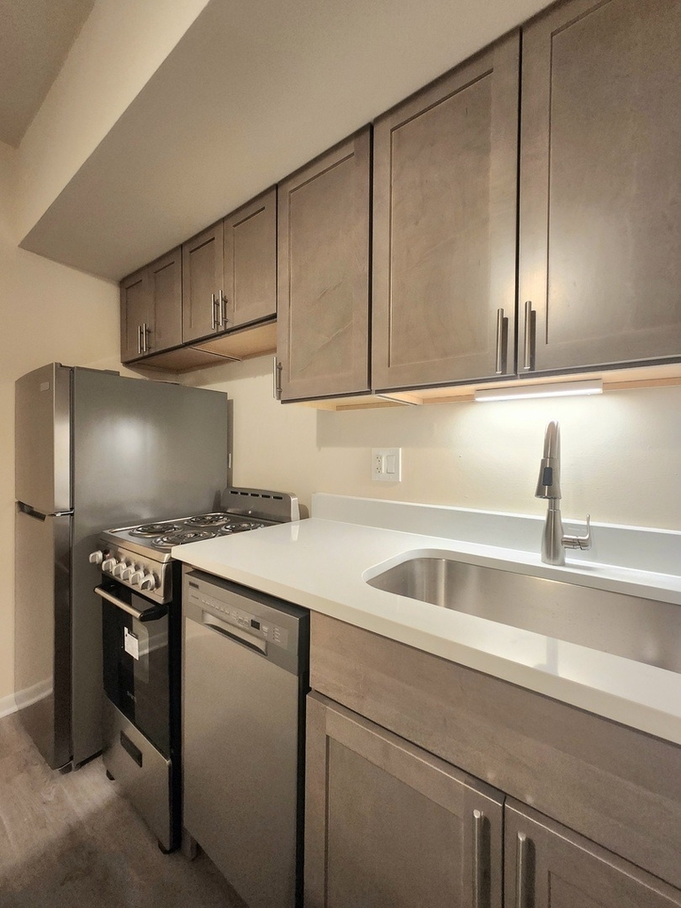 1504 N Dearborn Parkway - Photo 2