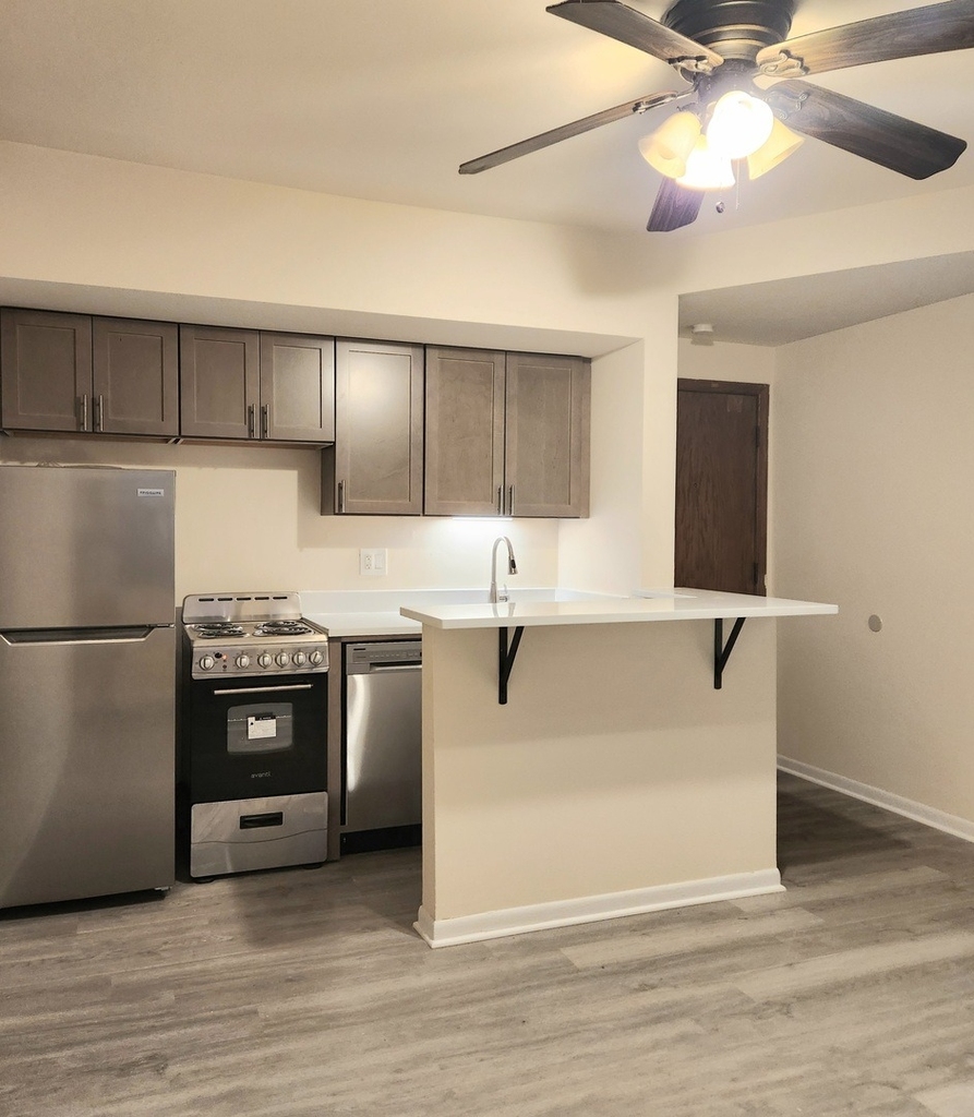1504 N Dearborn Parkway - Photo 1
