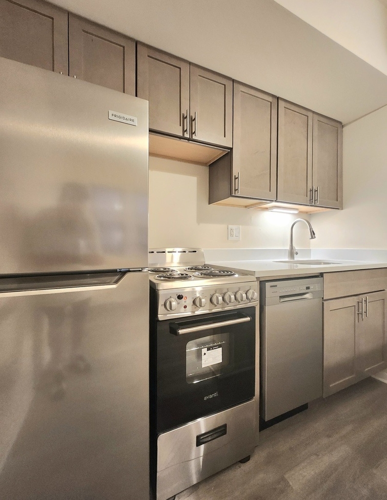 1504 N Dearborn Parkway - Photo 8