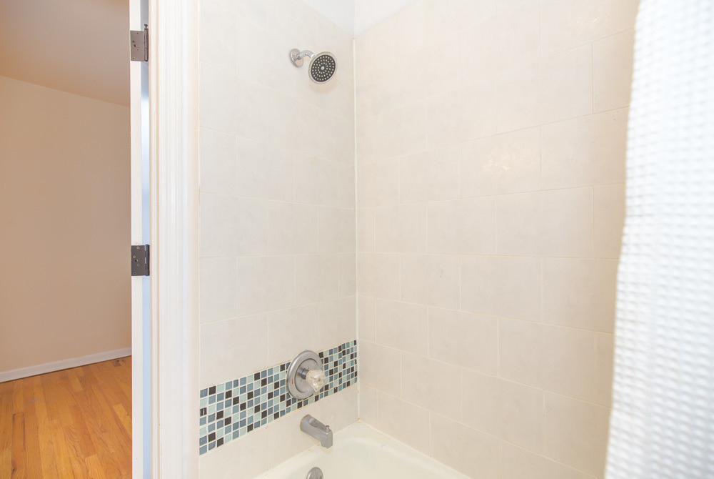 1504 N Dearborn Parkway - Photo 4