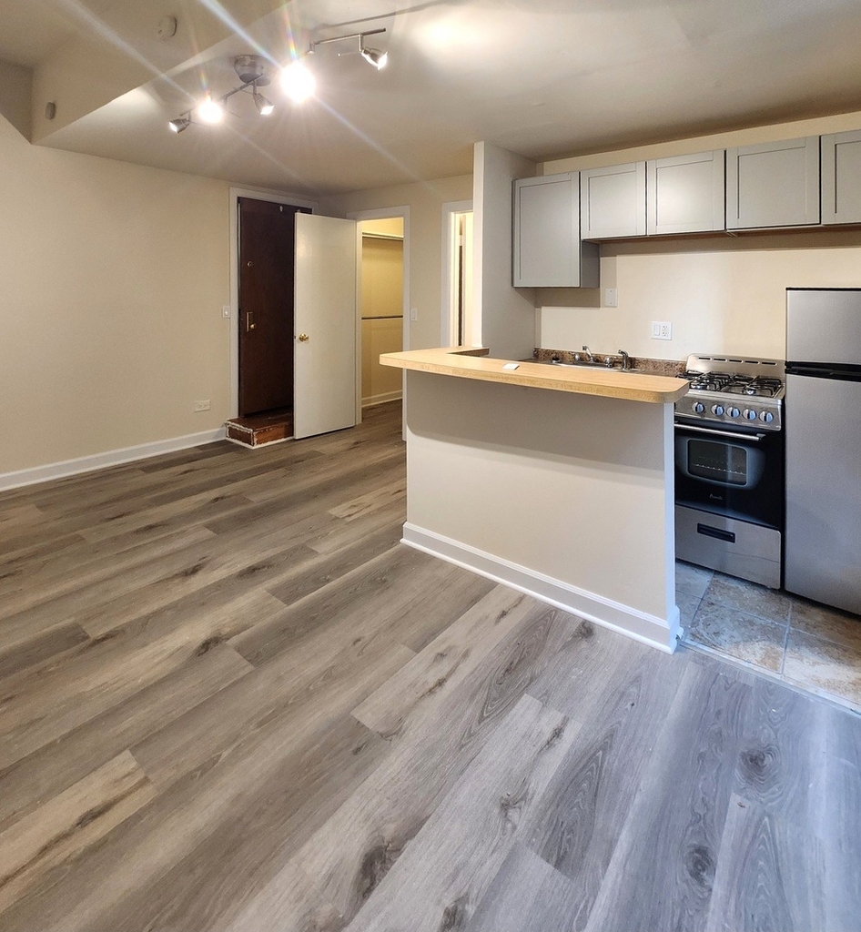 1504 N Dearborn Parkway - Photo 1