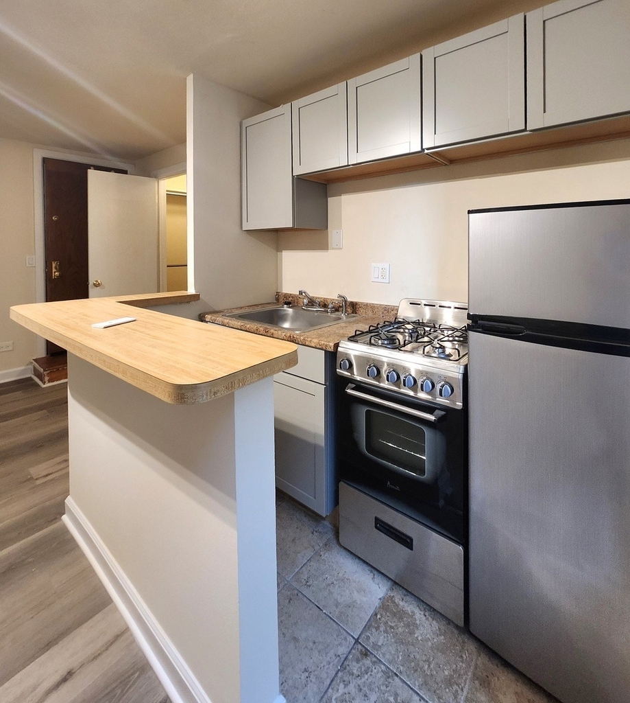 1504 N Dearborn Parkway - Photo 2