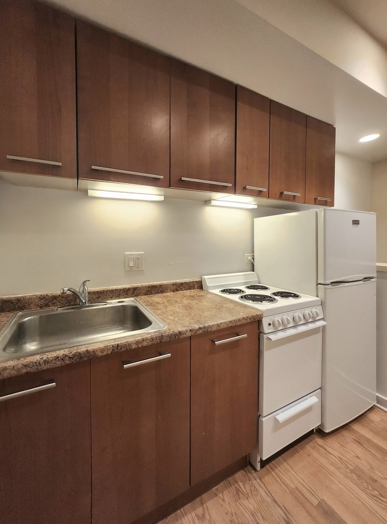 1504 N Dearborn Parkway - Photo 15