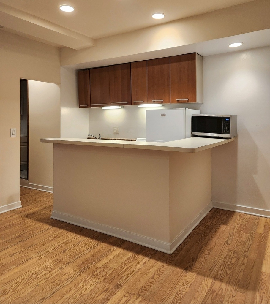 1504 N Dearborn Parkway - Photo 14