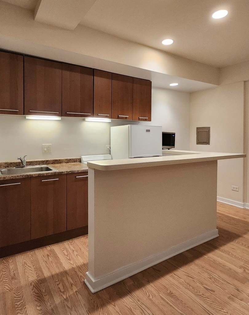 1504 N Dearborn Parkway - Photo 12