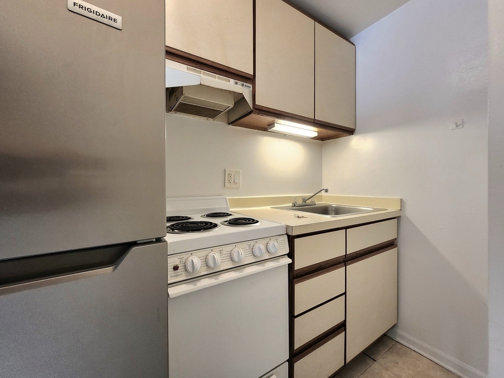 1430 N Dearborn Parkway - Photo 6