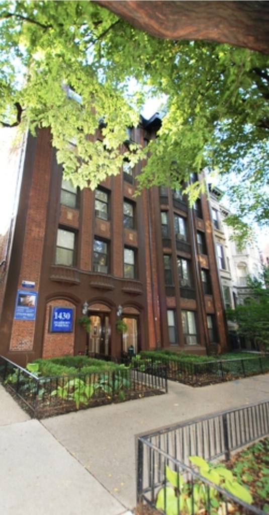 1430 N Dearborn Street - Photo 0