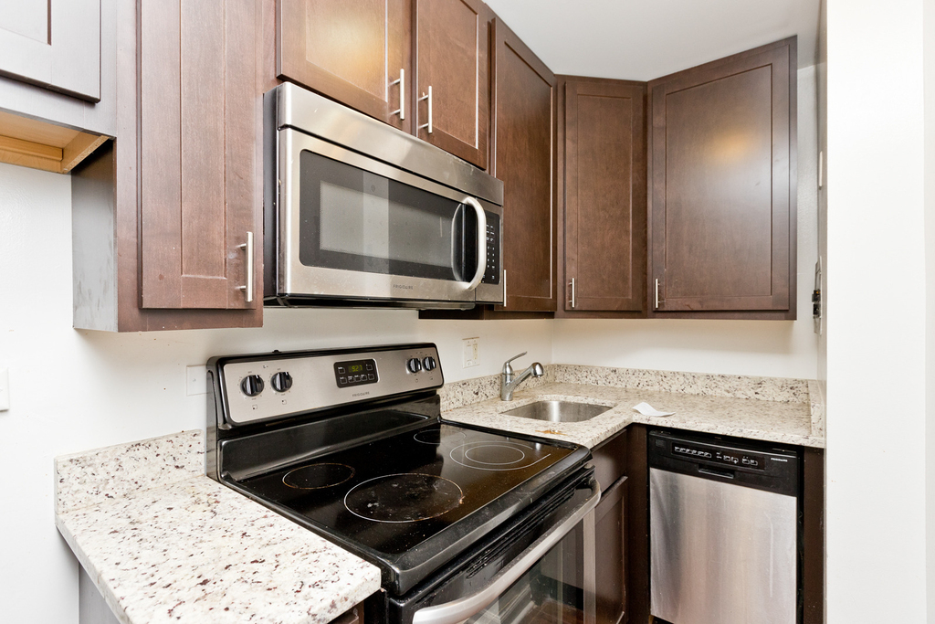 1430 N Dearborn Street - Photo 1