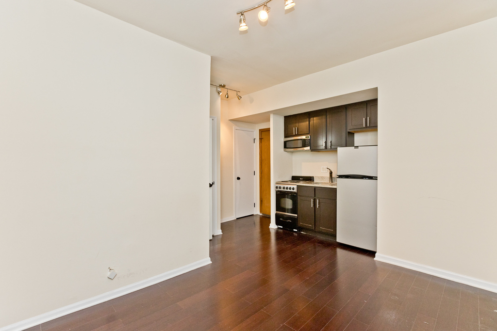 1430 N Dearborn Parkway - Photo 4