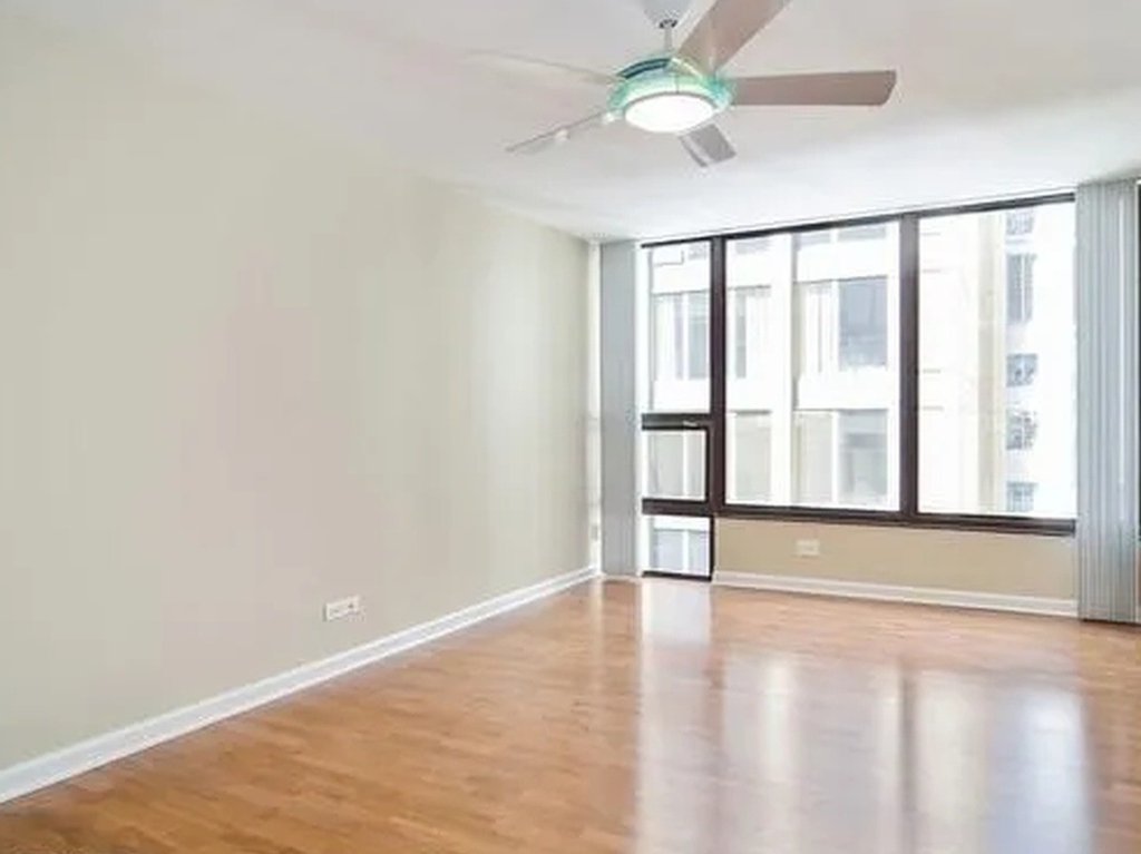 230 E Ontario Street - Photo 8