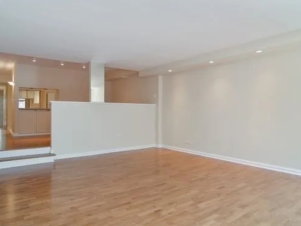 230 E Ontario Street - Photo 1
